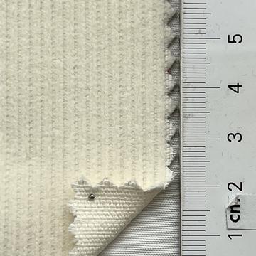 99999 Ivory