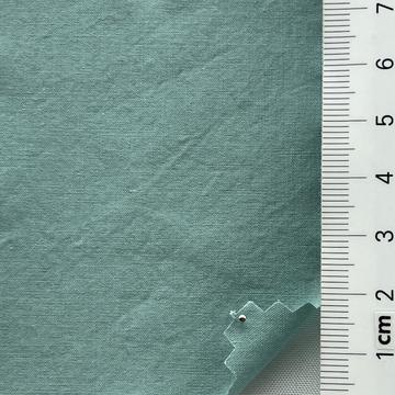 13 Pale Green