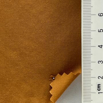 20 Camel