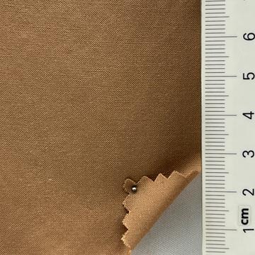 19 Camel