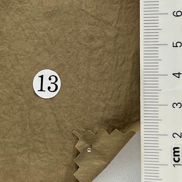 13 Camel