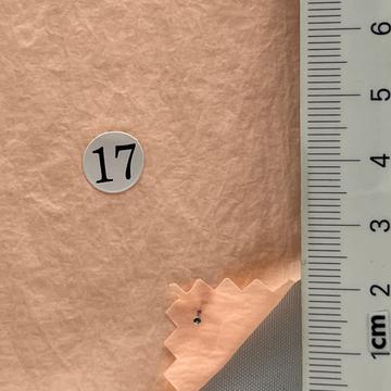 17 Pale Orange