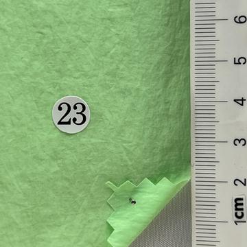 23 Pale Green