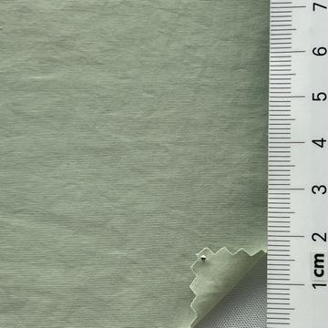 14 Pale Green