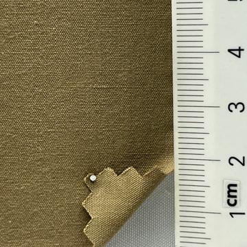 14 Camel