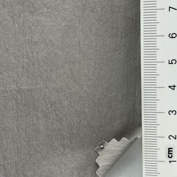 19 Gray