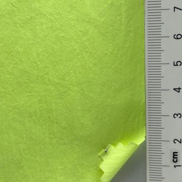 25 Pale Green
