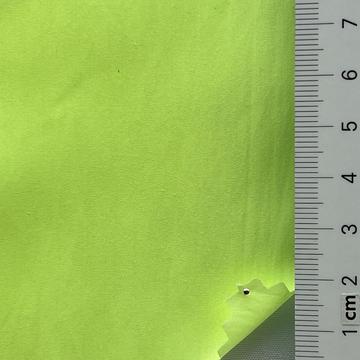 25 Pale Green