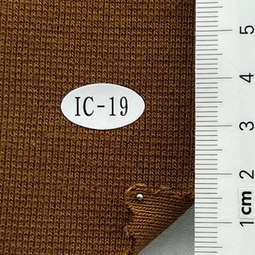 IC-19 Camel