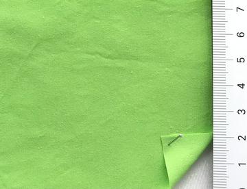 P#15-0545 Pale Green