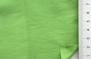 P#15-0545 Pale Green
