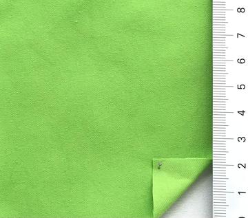 P#15-0545 Pale Green