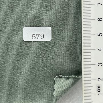 579 Pale Green