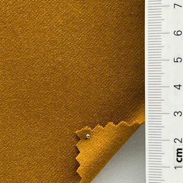 N232739 Camel