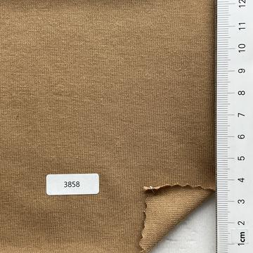 3858 Camel