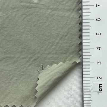 17 Pale Green