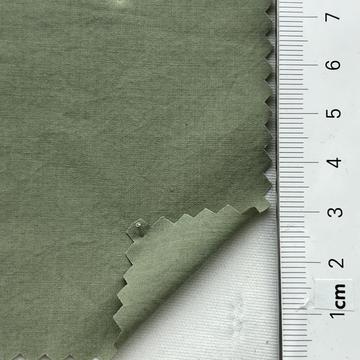 18 Pale Green