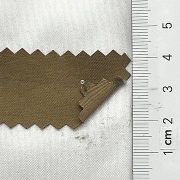 317-09 Camel