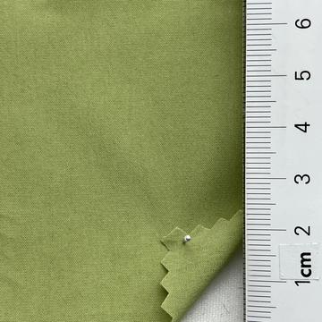 6 Pale Green