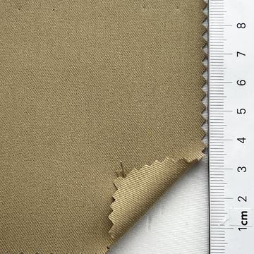 6 Camel