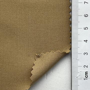 12 Camel