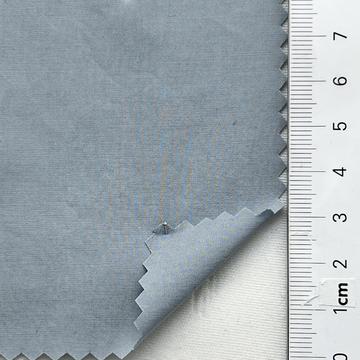 12 Pale Blue