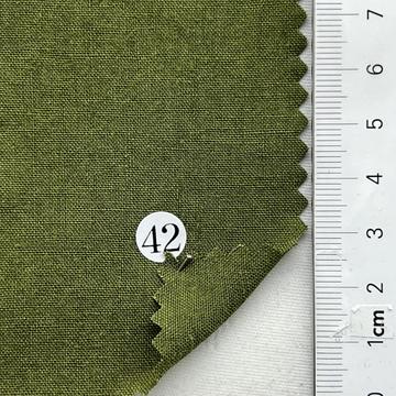 구42 Green