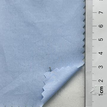 59 Pale Blue