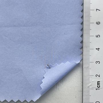 60 Pale Blue