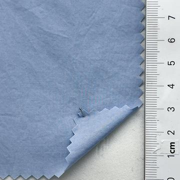 61 Pale Blue