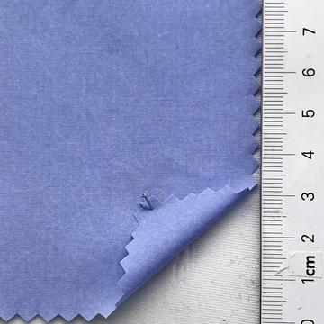 65 Pale Blue