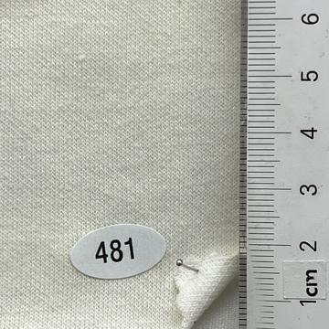 481 Ivory