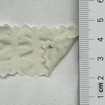 5 Ivory