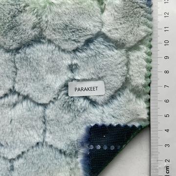 PARAKEET Green