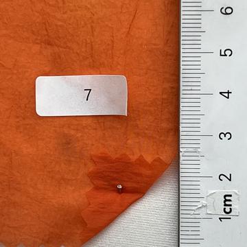 7  Orange