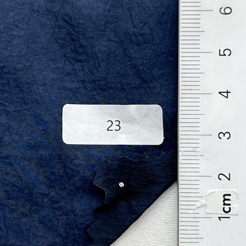 23 Blue