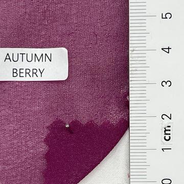 AUTUMN BERRY Magenta