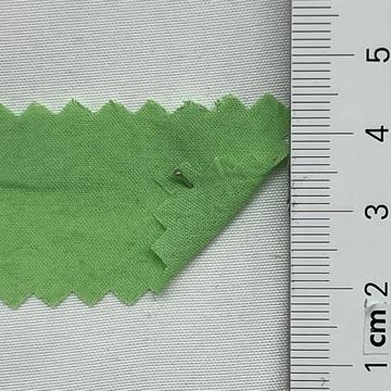 21 Green