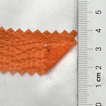 7 Orange