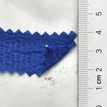 13 Blue