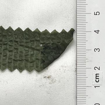 14 Deep Green