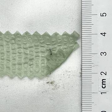 16 Pale Green
