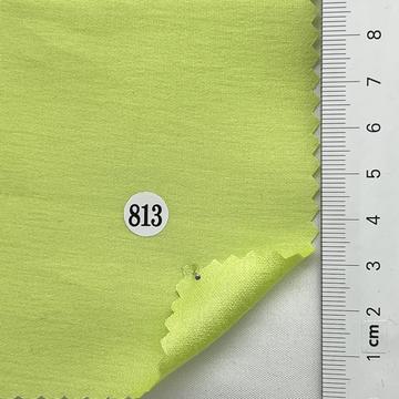 813 Pale Green