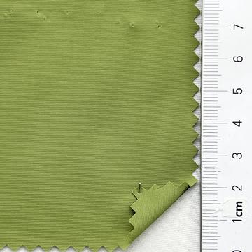 65 Pale Green