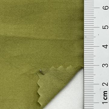 37 Pale Green