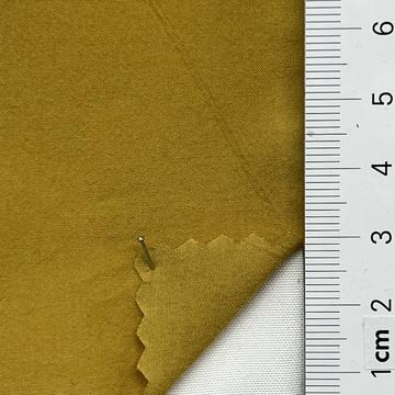 39 Camel