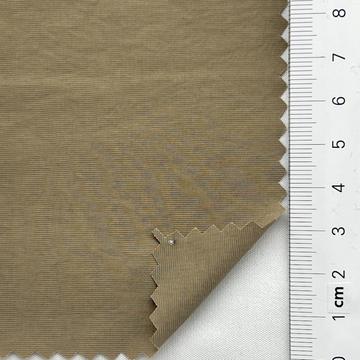 12 Camel