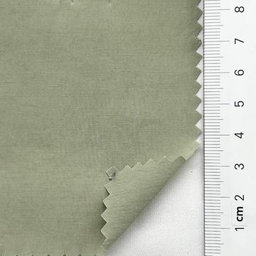 6 Pale Green