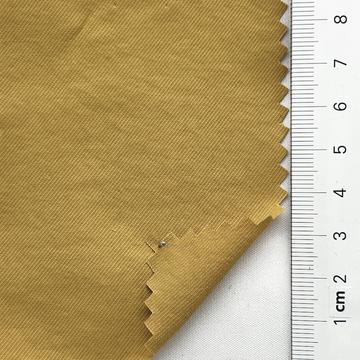 19 Camel