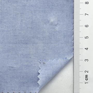 21 Pale Blue